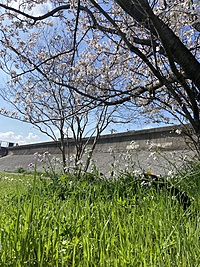 羽田空港近くでピクニック🌱✈️A picnic event near the airport!