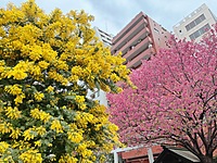 〈ラスト1枠〉【20代女性主催『20代限定』】｟蔵前｠焼きたてカヌレを食べよう🥧