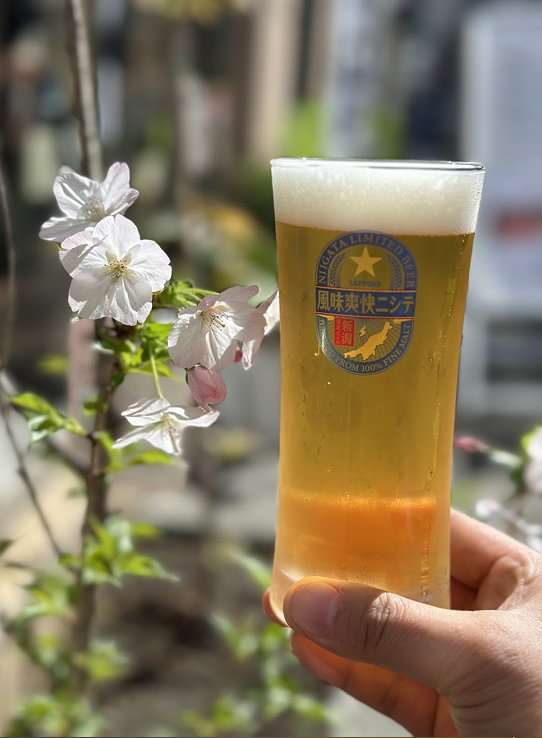 京橋で美味しい食事を楽しみながら昼飲み🍺