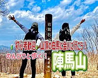 5/26◎集合遅め/初心者歓迎◎山頂から富士山！空気の澄んだ季節に陣馬山山頂の白馬に会いに行こう！