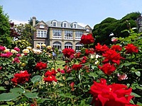 鳩山会館に行こう！今の時期はバラがおすすめです〜。20代30代限定🌈🌈🌈