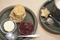 百名店！チーズケーキが人気の大手町のカフェで雑談しよう☕️