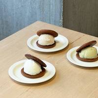 【早割中】原宿のオシャカフェに行こう！おすすめはキャロットケーキ🥜🥜🥜