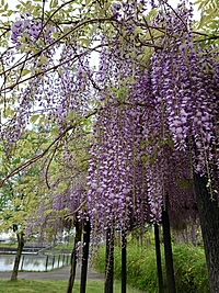 2024.5 月  練習会(名古屋市港区)