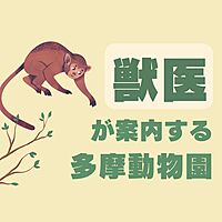 獣医が解説🦁多摩動物公園を歩く会