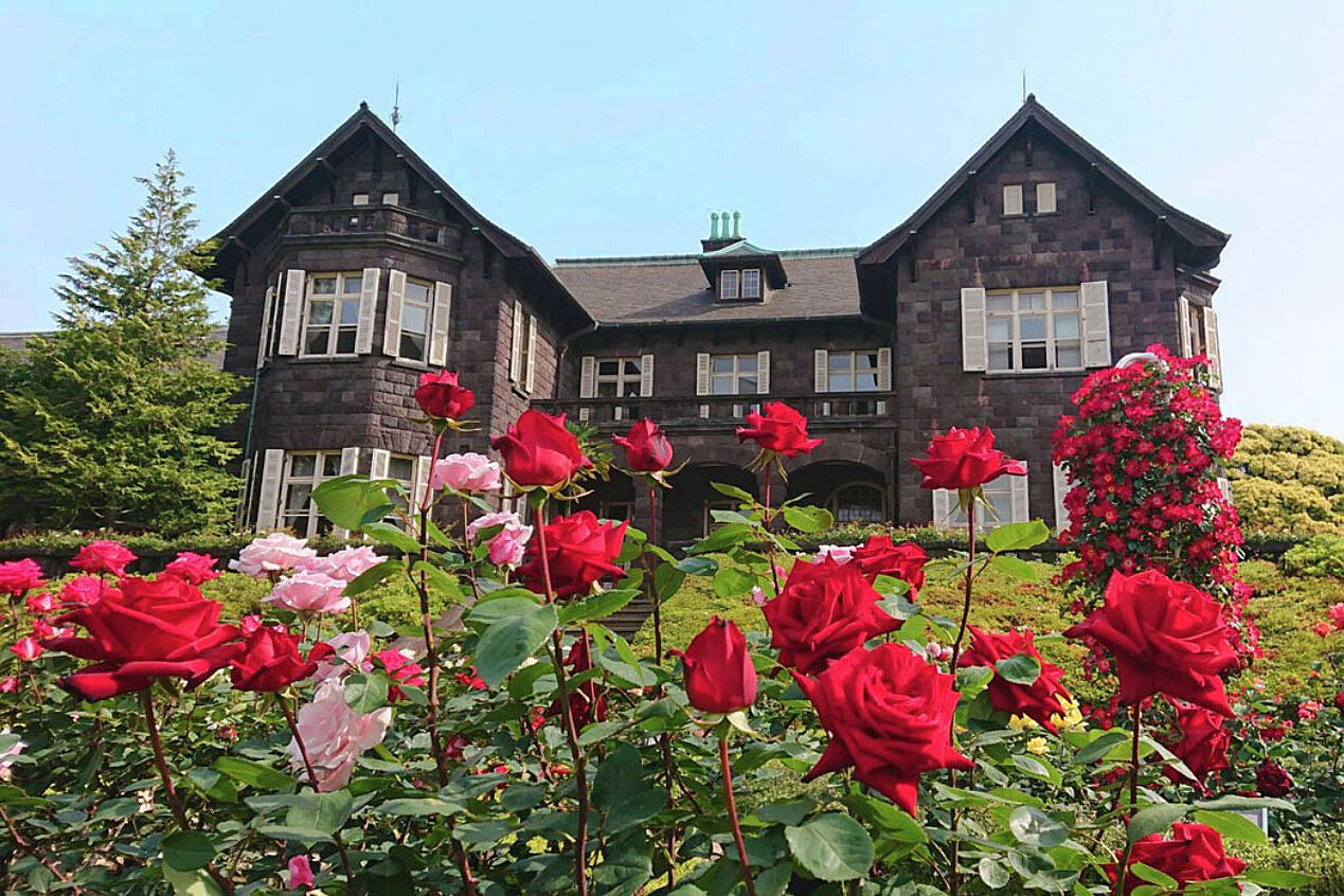 【女性主催】春のバラフェスティバル🥀🥀旧古河庭園に約100種200株のバラを見に行こう✨✨