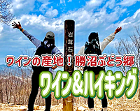 6/9◎ワイナリー巡り＆ハイキング◎勝沼ぶどう郷！大日影トンネル・国宝大善寺・ワイナリー巡り！