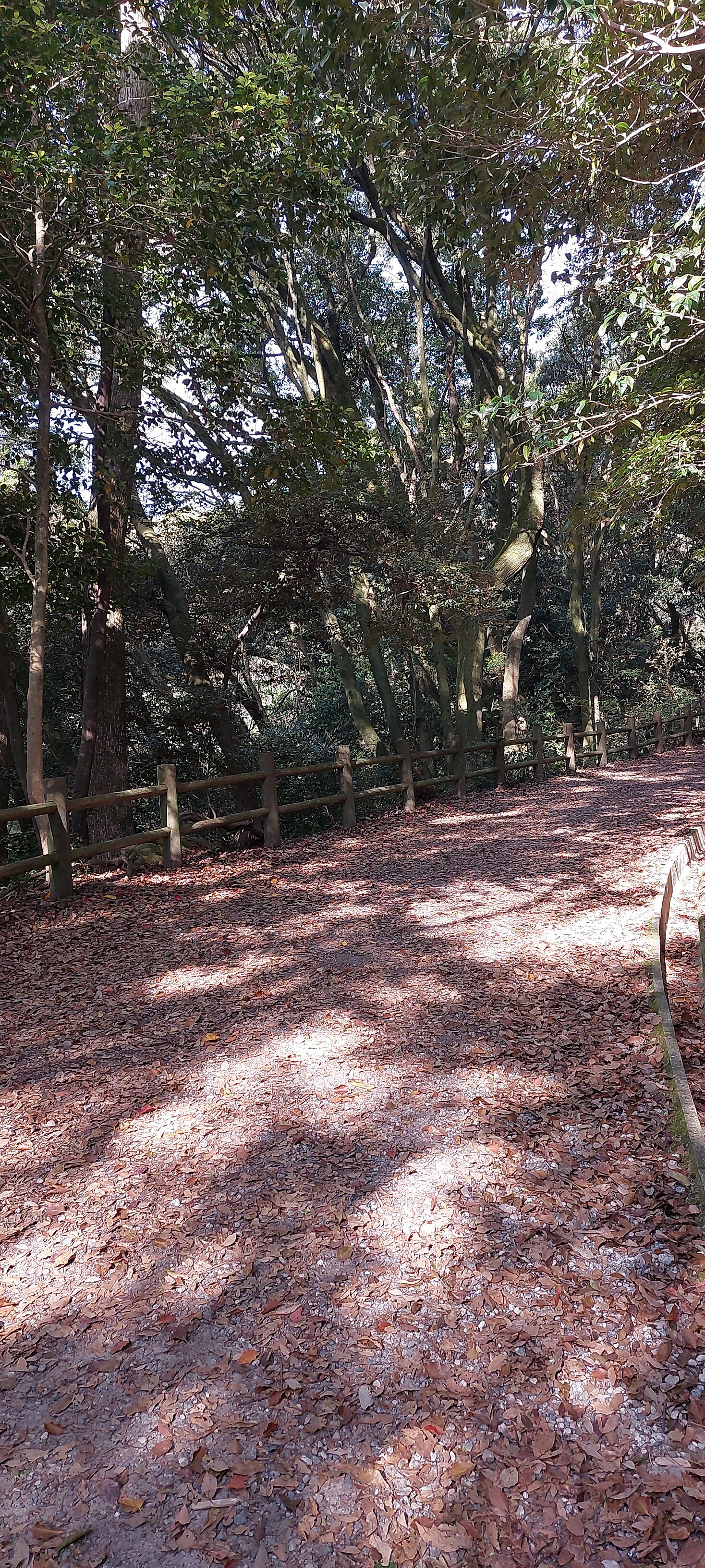 【爽快登山×天拝山⛰️】気軽に楽しむ春の山登り🌄🌿    ✨初心者大歓迎✨   2名参加中！