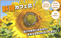 9✨平均参加人数10名以上✨《新宿》 ゆったりカフェ会☕️初めましての方は早割で参加費無料✨毎日開催！10:30〜、13:30〜、15:00〜、16:30〜