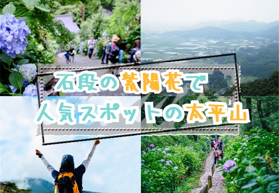 【20-30代/早割あり】紫陽花が有名な太平山でハイキングのイベント