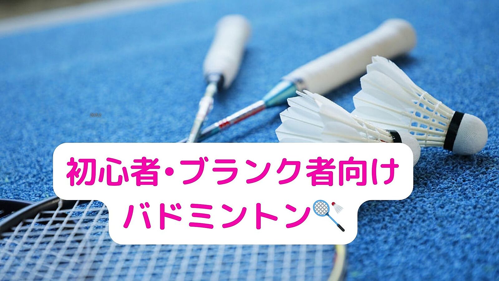 【平成生まれ限定】現在15名⭐︎初心者大募集🫶エンジョイバドミントン🏸