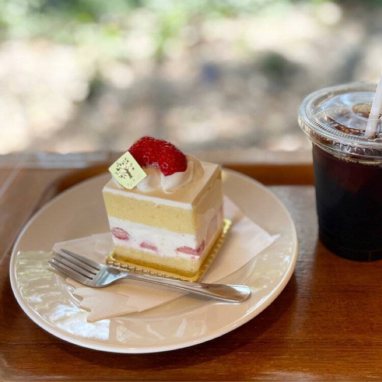 【早割中】テラスのあるカフェに行こう！おすすめはショートケーキです🦊🦊🦊