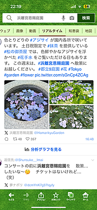 カメラで撮影浜離宮庭園で紫陽花と花しょうぶ🪻を見に行こう🌸203040代の方
