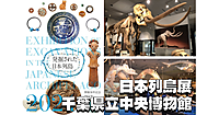 千葉房総の歴史と文化庁主催の特別展「日本列島展」をみにいきます！