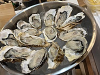 あと1名でキャンセル待ち【牡蠣ワイン会】築地の卸から仕入れた新鮮な牡蠣を堪能する会