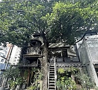 【先着4名無料】まるでツリー🌲⁉️自然を感じるカフェに行こう☕️🍰