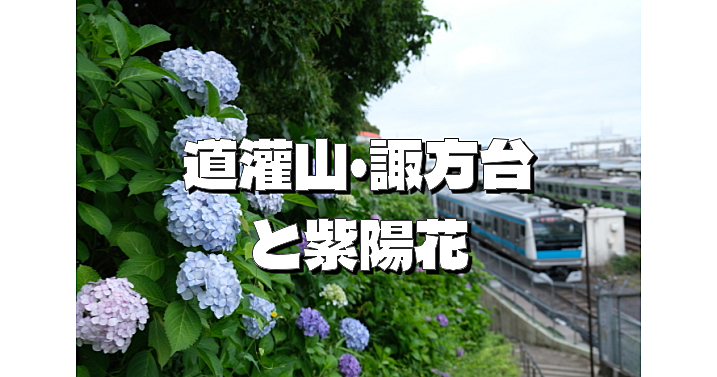 浮世絵にも描かれる景勝地「道灌山」の歴史散歩。あじさいの名所でもあります。