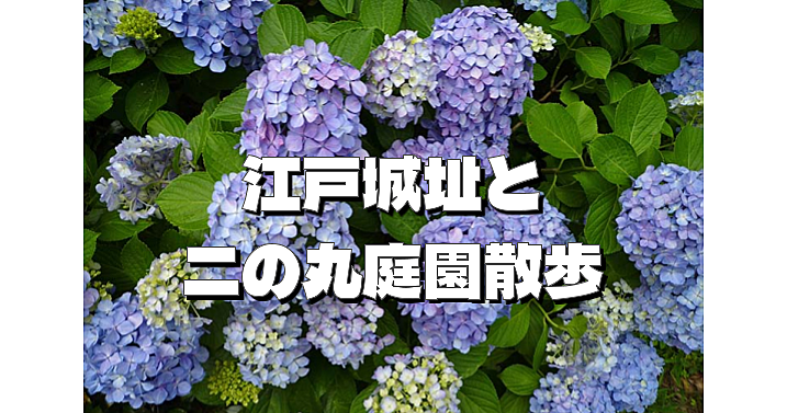 江戸城跡の皇居東御苑で紫陽花など自然とお話を楽しむお散歩会です😃