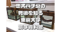東京大学農学資料館にいってみます。忠犬ハチ公の臓器もあるらしい。キャンパス散歩もあり♪