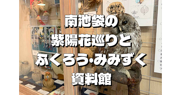 南池袋のふくろう・みみずく資料館とお寺とあじさい巡り🌼🌼🌼