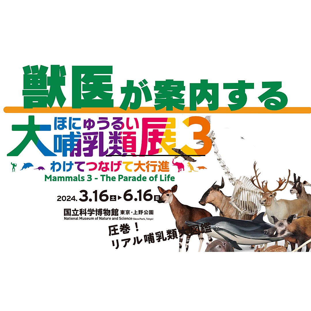 獣医が解説🦁大哺乳類展＠国立科学博物館