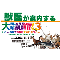 獣医が解説🦁大哺乳類展＠国立科学博物館