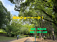 春日ウォーーーク！〜春日公園で元気に朝活！いい一日のスタートを！〜