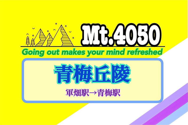 澄んだ秋のそよ風を感じながら◇青梅で樹林帯トレッキング🐾