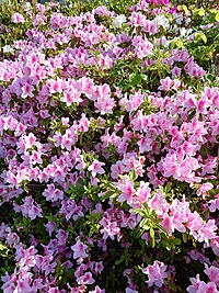 2024.6月  練習会(桑名市)