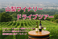 【ドライブ】山梨ワイナリーツアー