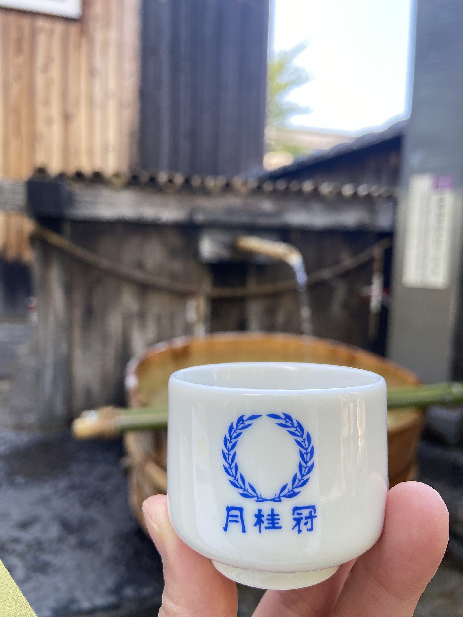 【京都月桂冠の酒蔵ツアー！】みんなで歩こう観光散歩🍶🚶