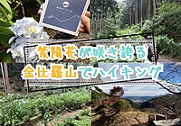 【20-30代 一部40代もOK】紫陽花が咲き誇る金比羅山でハイキング