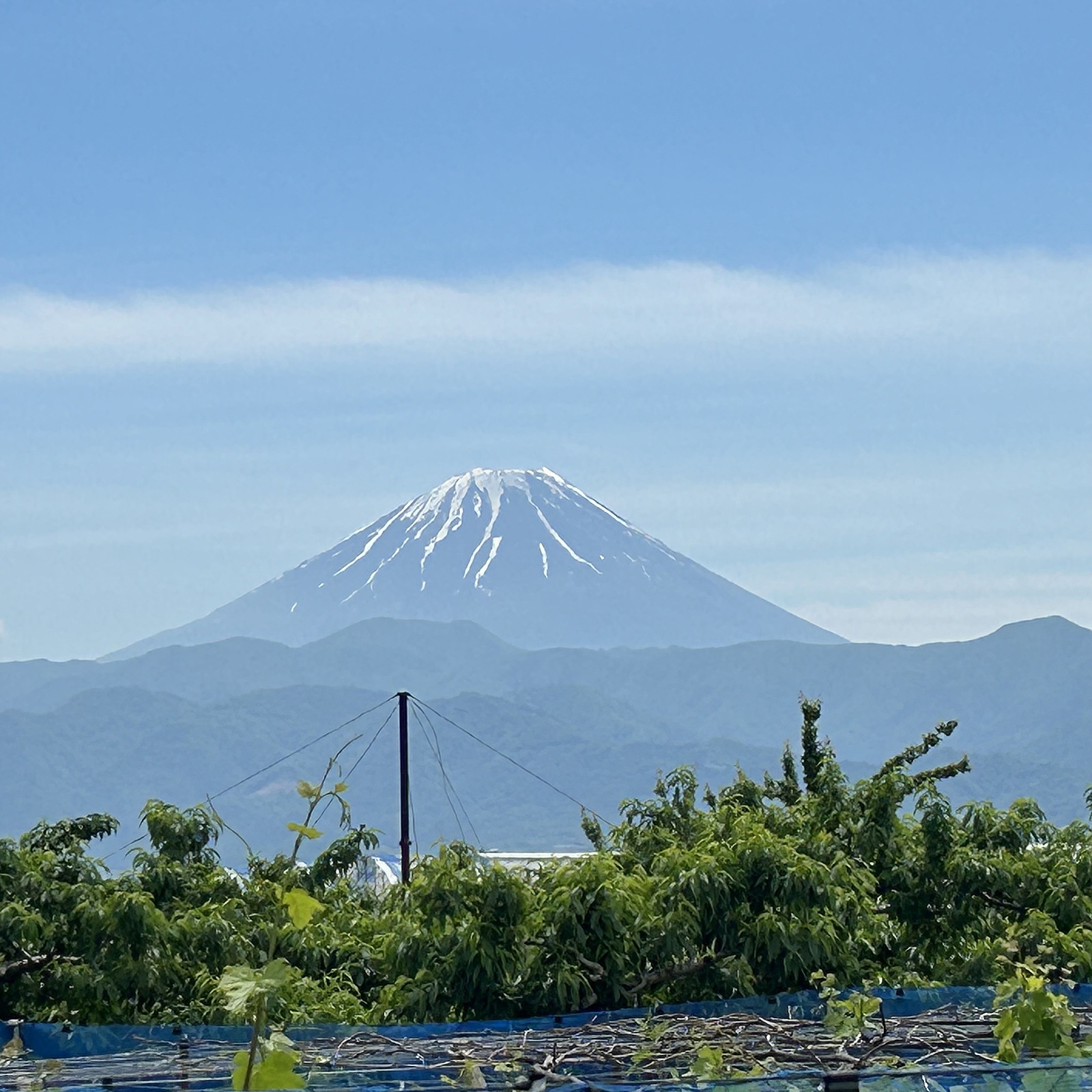 6月9日 さくらんぼ➕桃狩り日帰り遠足　🚌🍒🍑