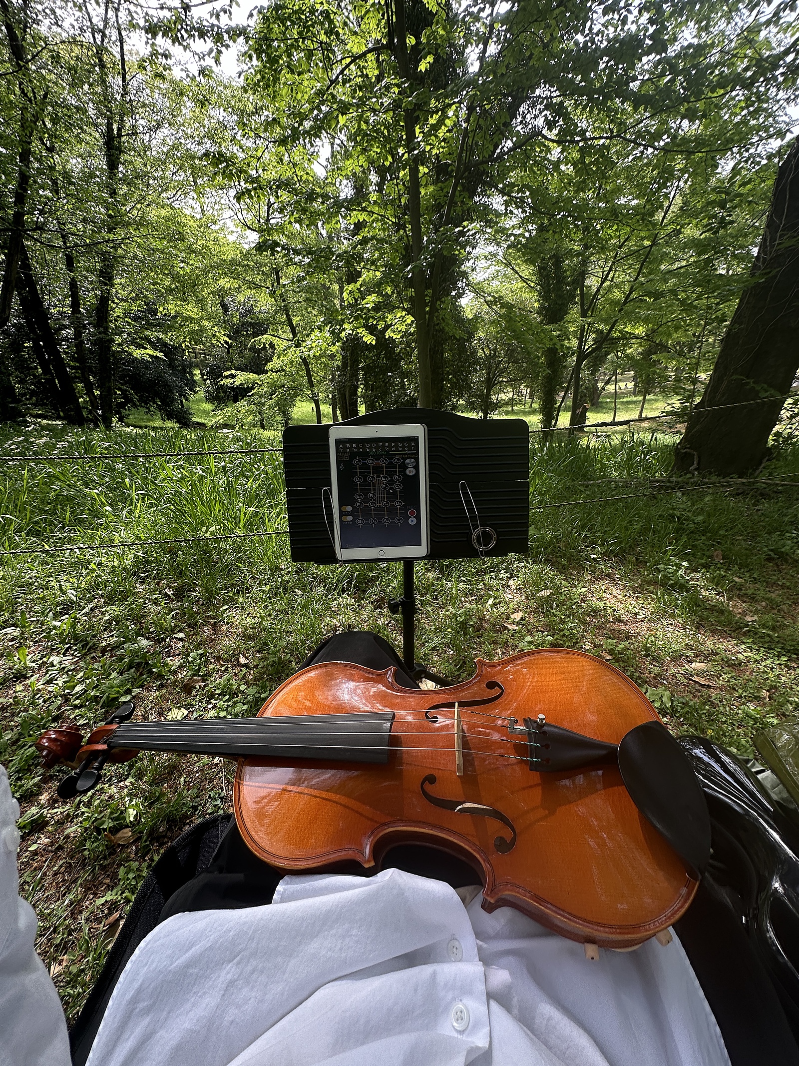 【ゼロからはじめる】ビオラを弾いてみよう🎻 【未経験者大歓迎】