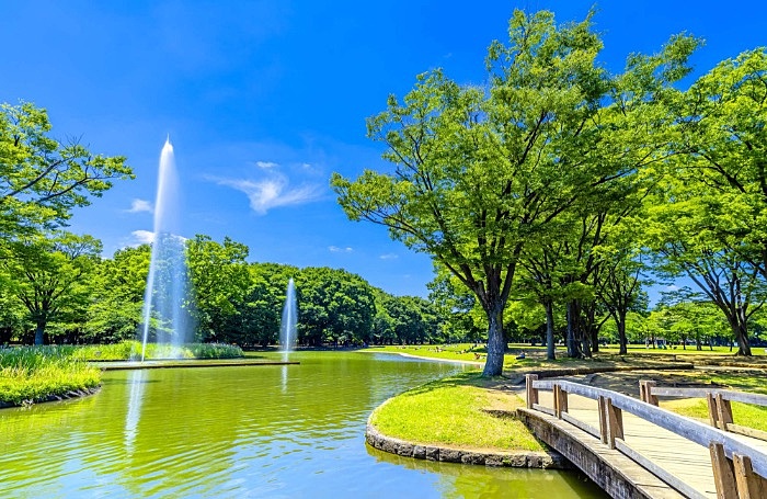 【2,30代中心】代々木公園でゆる〜くみんなで歌と演奏を楽しむ会