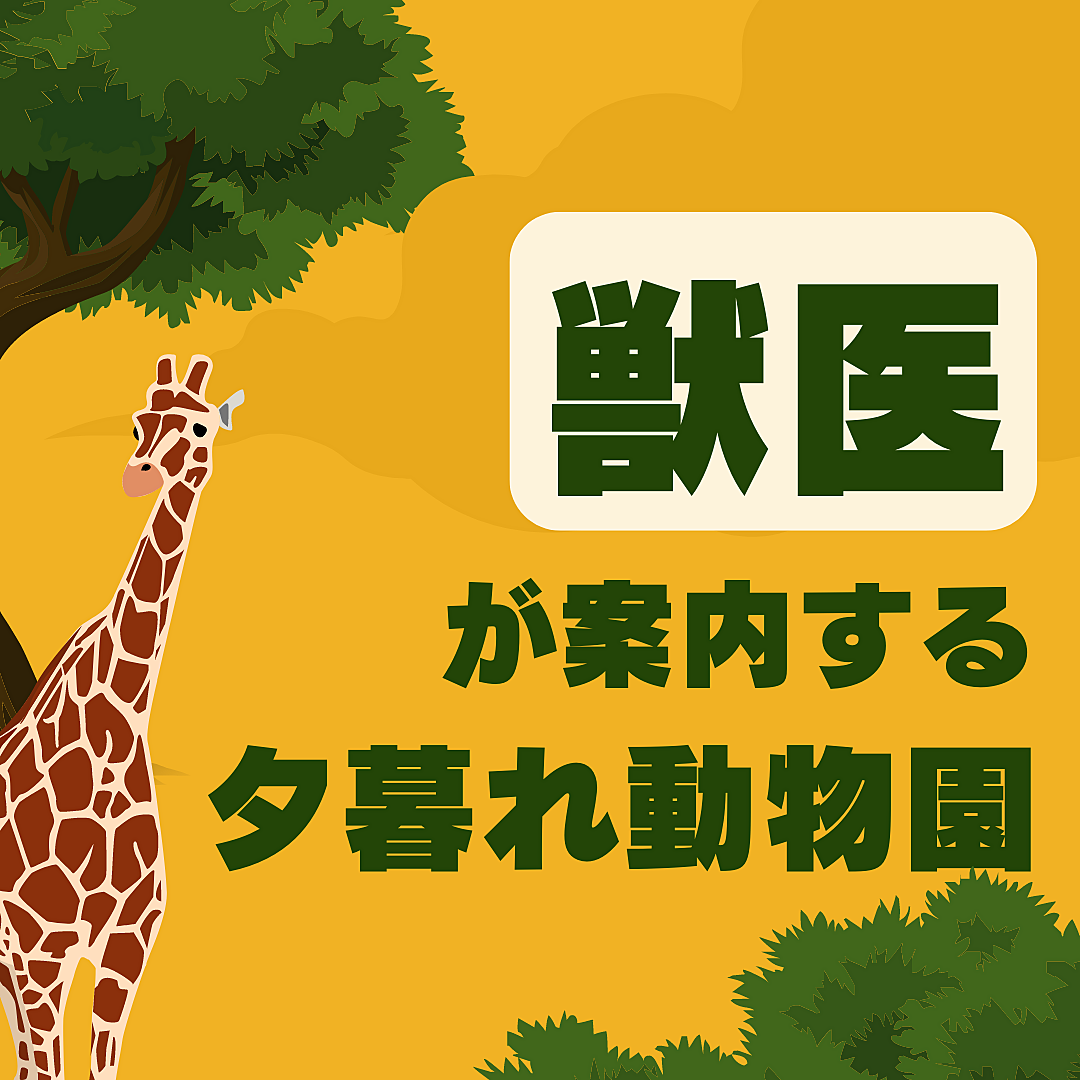 獣医と行く🦁上野動物園🦩6/15夕