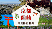 【京都 岡崎観光 × 国際交流🌏】平安神宮 神苑: 無料公開 (花菖蒲)✨