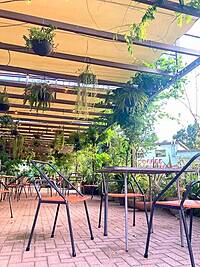 【先着3名早割】南青山の緑豊かなカフェに行こう🐽🐽🐽