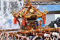 【女性主催】深川八幡祭りに行こう〜🌊🌊🌤️🌈見どころは、水かけ、お神輿、屋台です〜！！