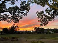 夕焼け🌅カメラ📷ピクニック〜夕陽にグラスを傾けてオシャレなポートレートを撮ろう！
