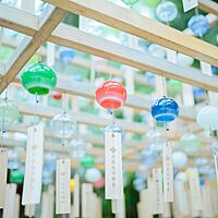 川越氷川神社の風鈴まつり🎐を見に行きます