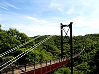 【7月28日(日)】大阪最大の吊り橋&川遊び！！星のブランコハイキング