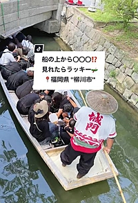 🌊🛶6/26(水)柳川川下りに行こう🛶🌊
