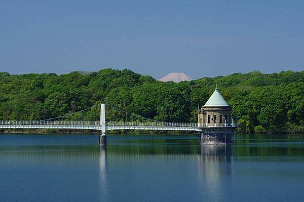 【早割中】大自然が広がる狭山湖とトトロの森に行こう🍒🍒