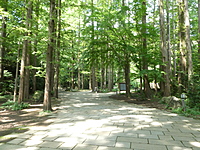 生田緑地で森林浴しよう (第１弾)