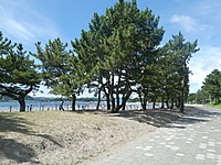 海の公園と荒崎シーサイドコースでハイキングを楽しもう