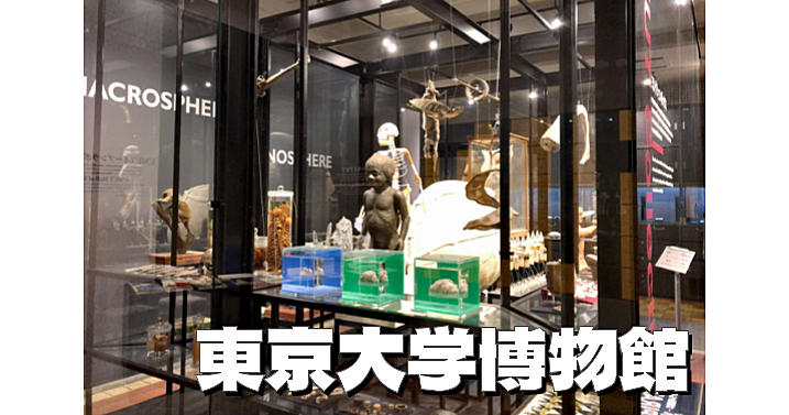 平日のみ開館の東京大学総合研究博物館にいきます