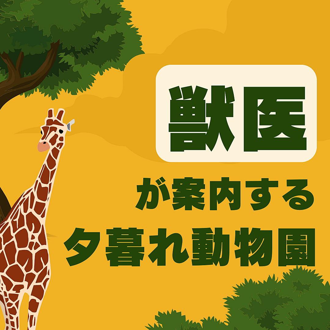 獣医が案内🦁夏の上野動物園🦩