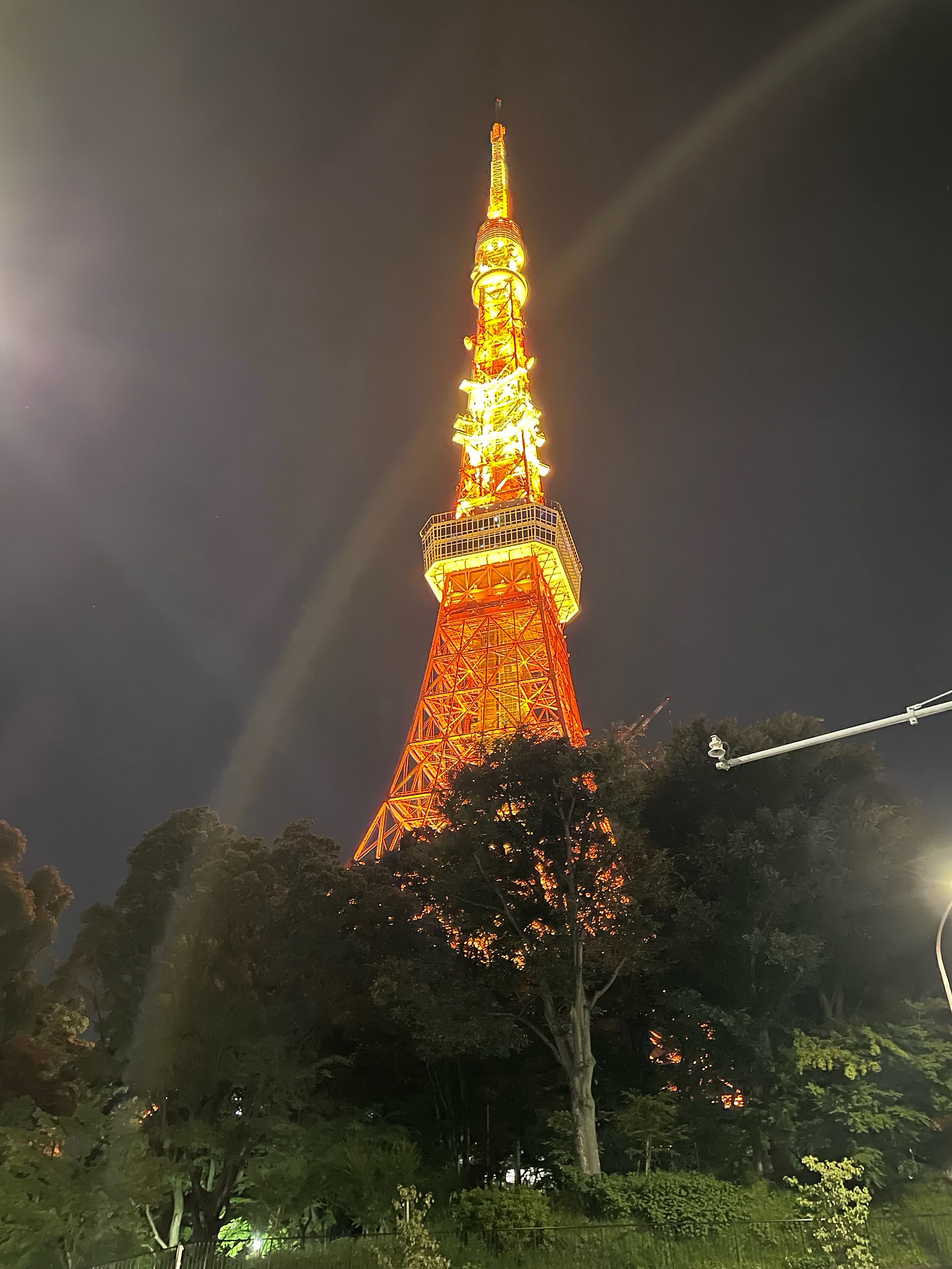 【20代】東京ナイトウォーク🚶🗼 東京タワーに行こう！