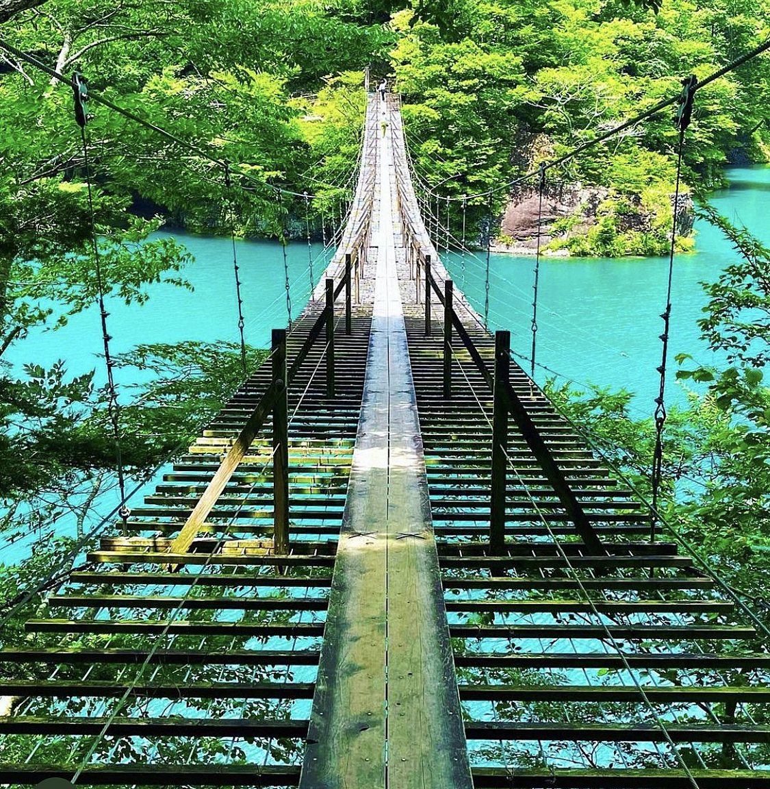 満【一先ず男性募集】【静岡】大井川鉄道 夢の吊り橋＆清水港海鮮＆露天風呂@夏旅行